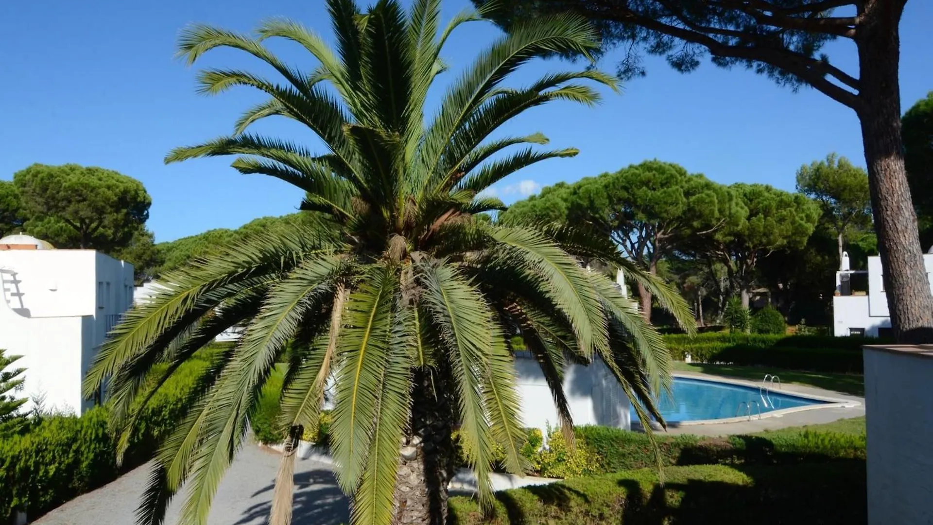 Piverd Del Golf 35 Pals 0*,