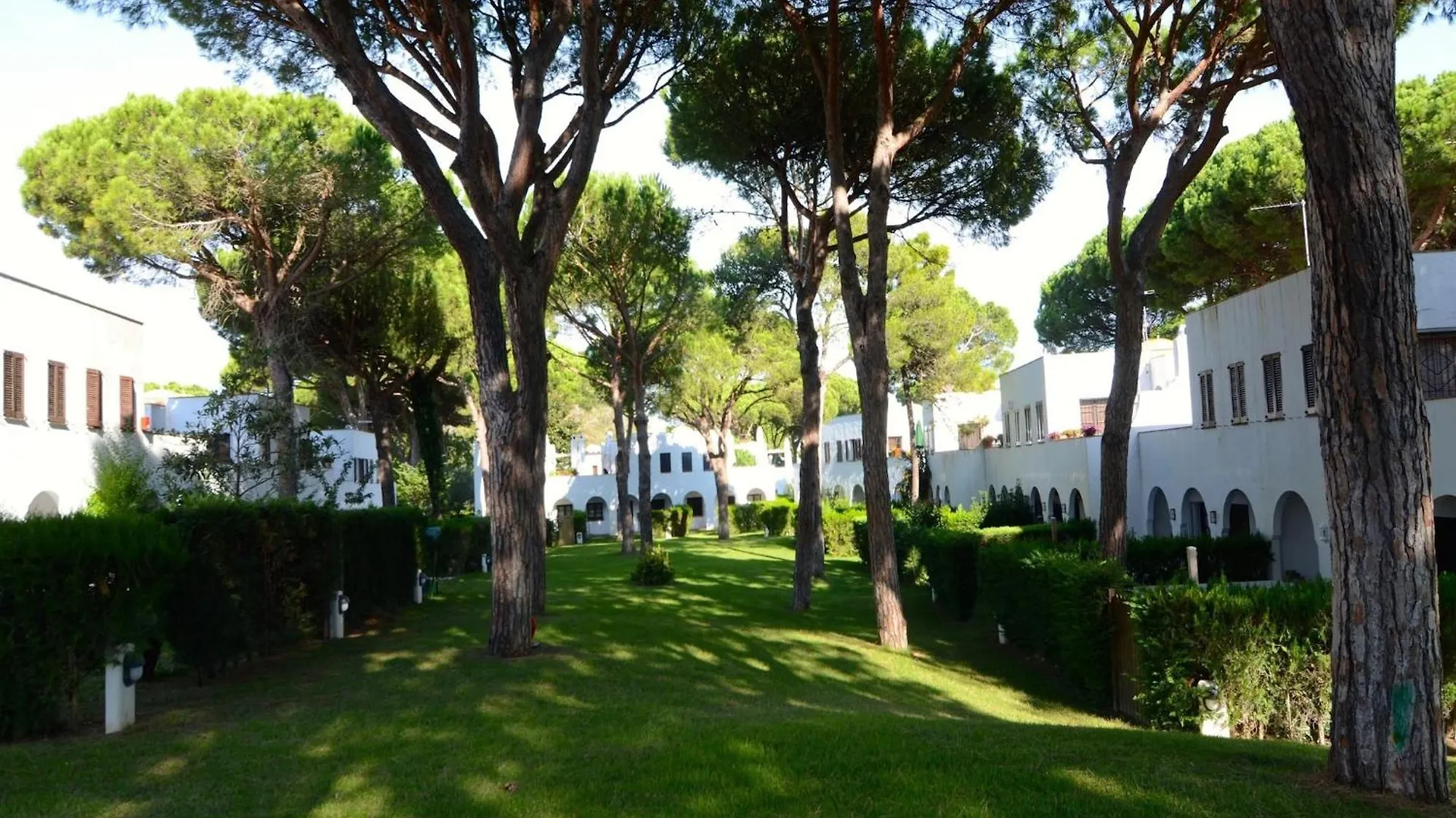 Piverd Del Golf 35 Pals